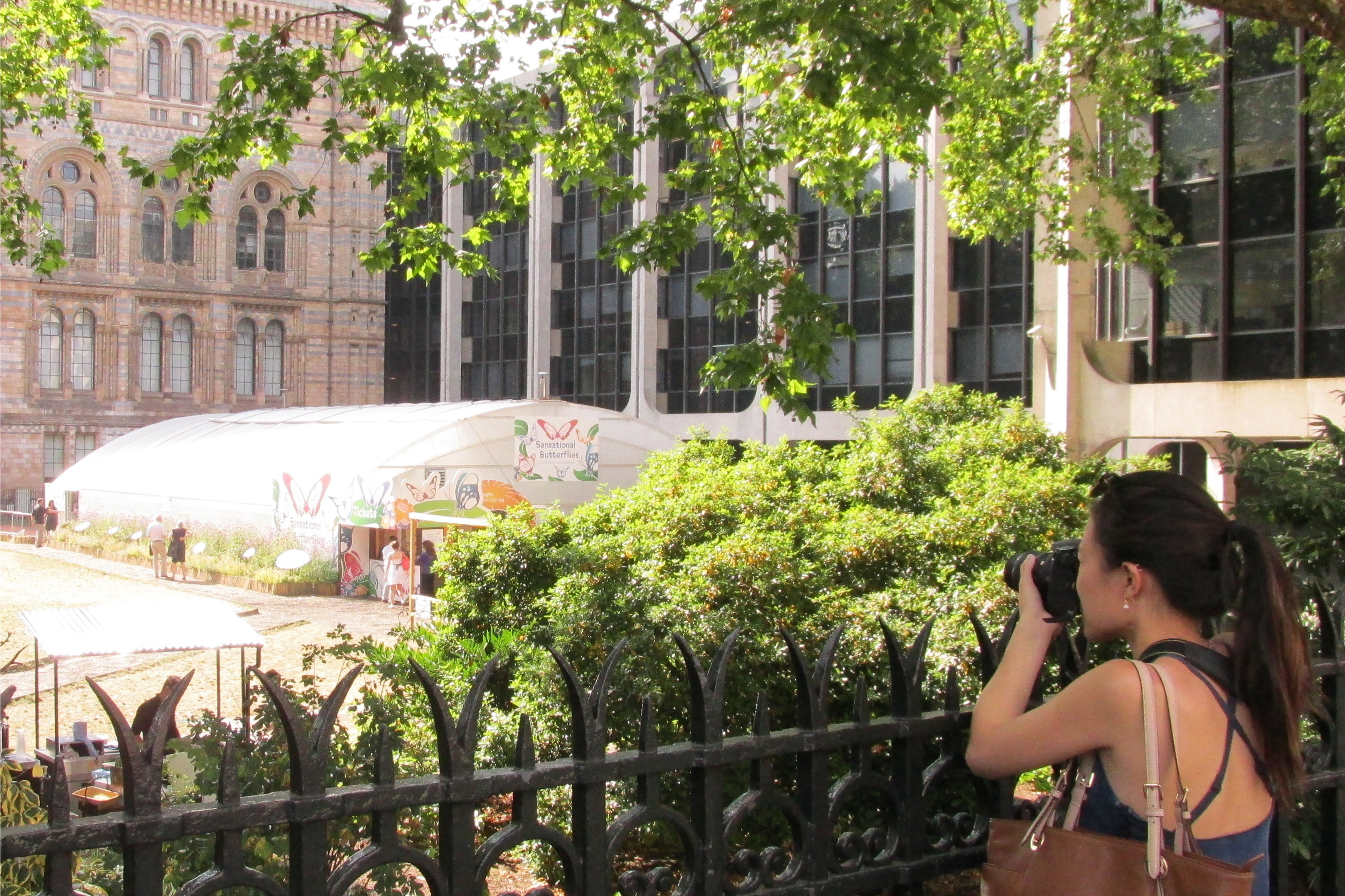 Picture: Visitors in London in front of the Natural History Museum, Image Credit: SE1 Media